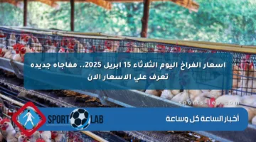 أسعار الفراخ اليوم الثلاثاء 15 أبريل 2025.. مفاجأة جديدة تعرف على الأسعار الآن